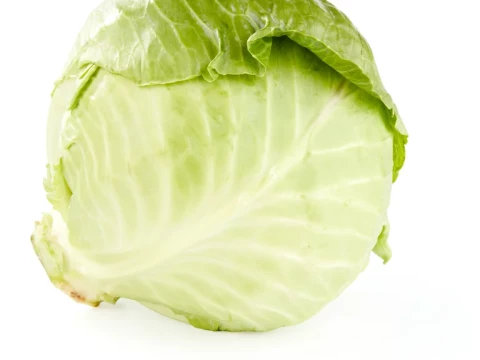 cabbage