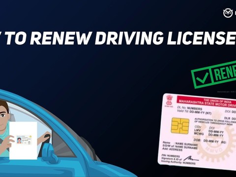 licence