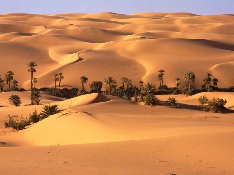 desert