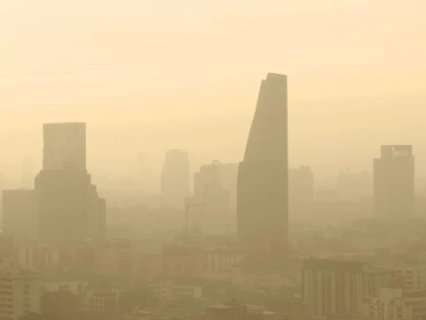 smog