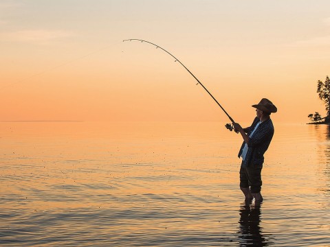 fisherman