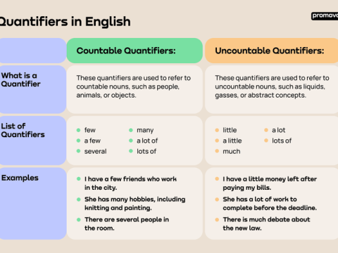 quantifier