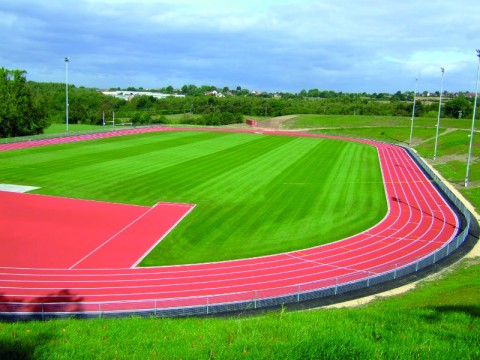 sports field