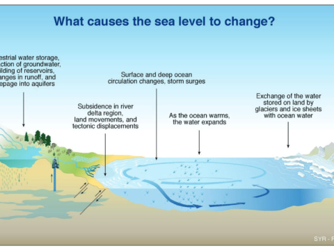 sea level