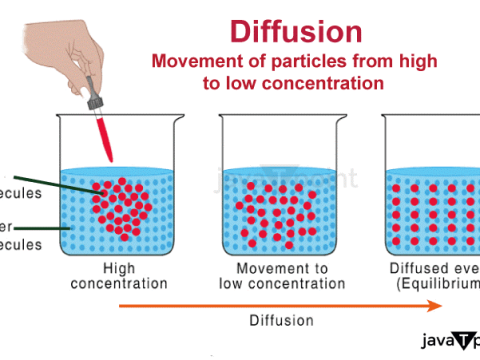 diffusion