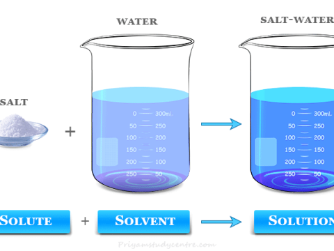 solvent