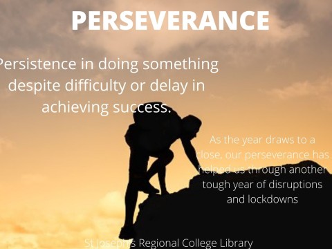 perseverance