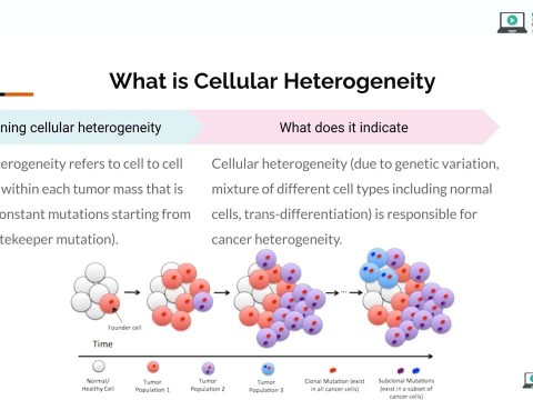 heterogeneity