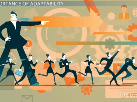 adaptability