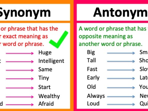 antonym