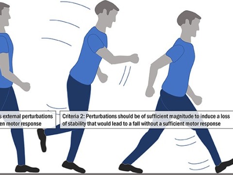 perturbation