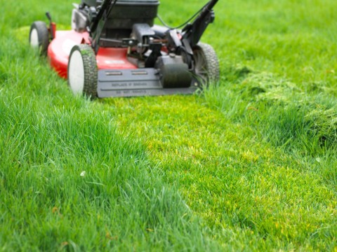 lawn mower