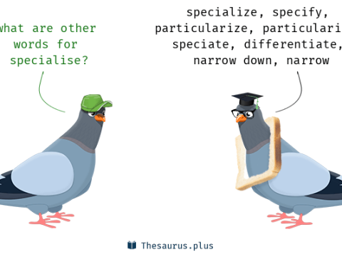 specialise