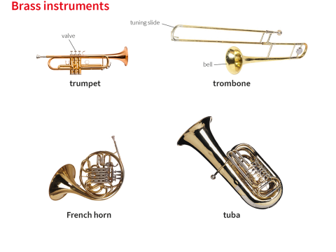 tuba