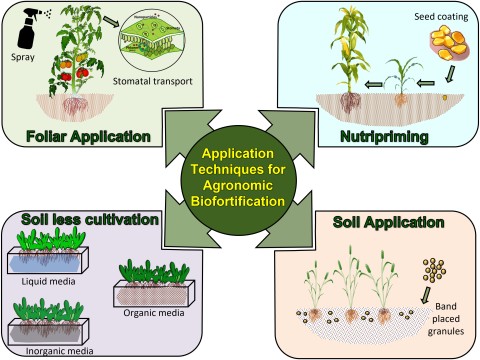 agronomist