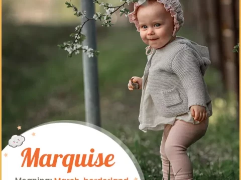 marquise