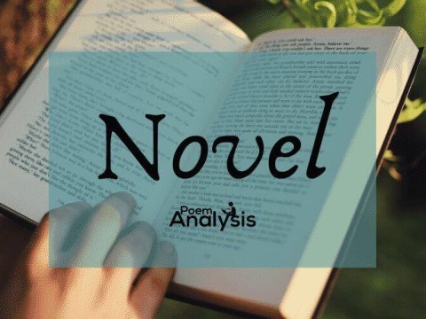 novel