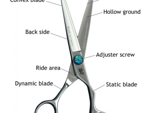 shears