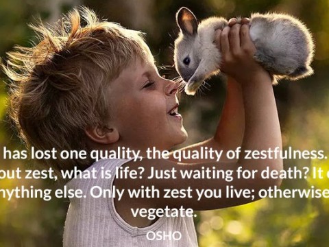 zestfulness