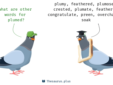 plumed