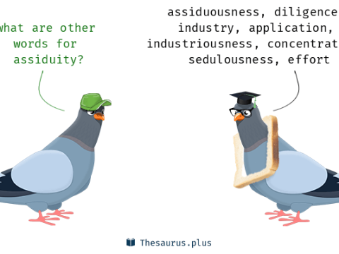 assiduity