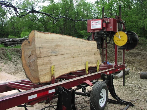 sawmill