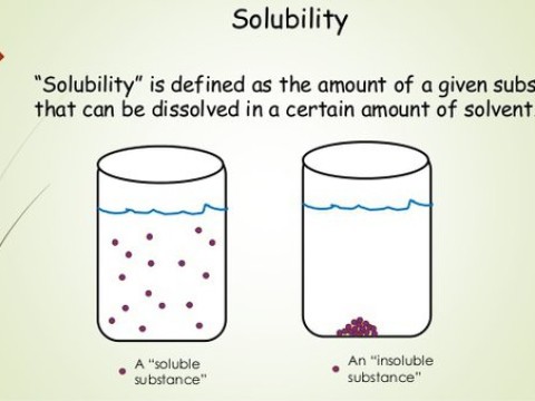 insolubility