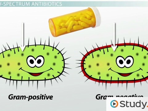 bacteriostatic