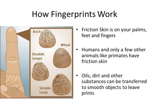 fingerprinting