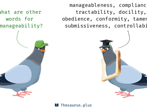 manageability