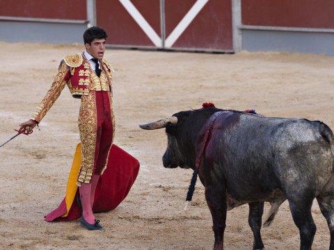 bullfighter