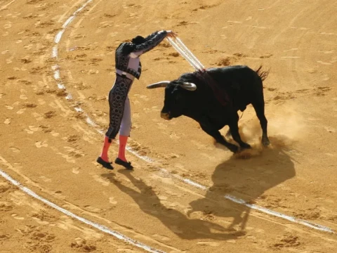 bullfighting