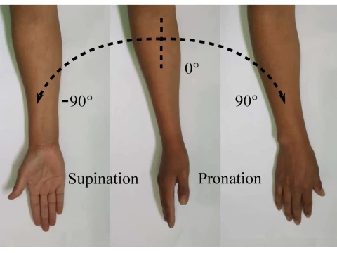 pronation