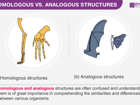 heterologous