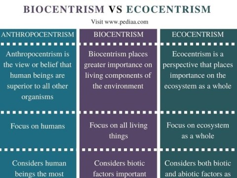 anthropocentrism