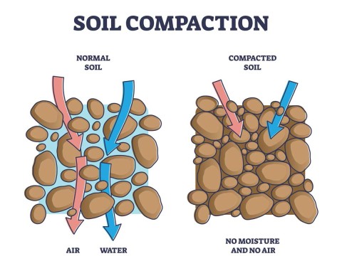 compaction