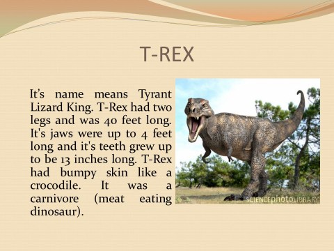 rex