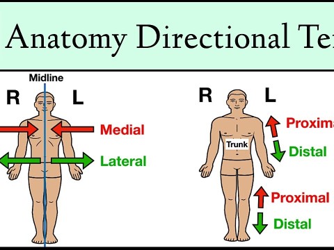 medially