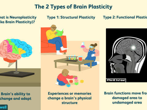 plasticity