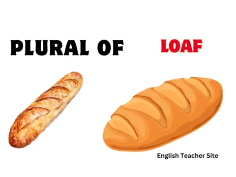 loaves