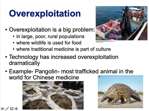 overexploitation