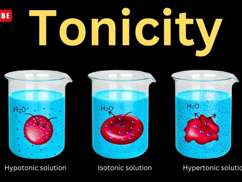 tonicity