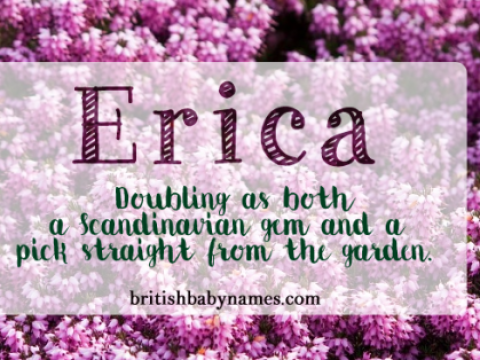 Erica