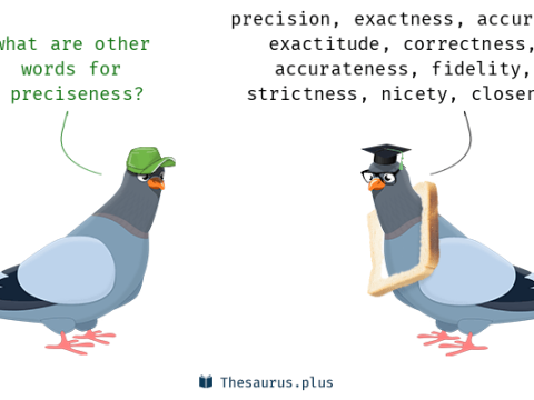 preciseness