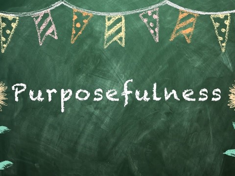 purposefulness