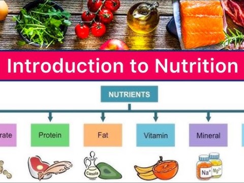 nutritive