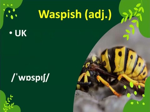 waspish