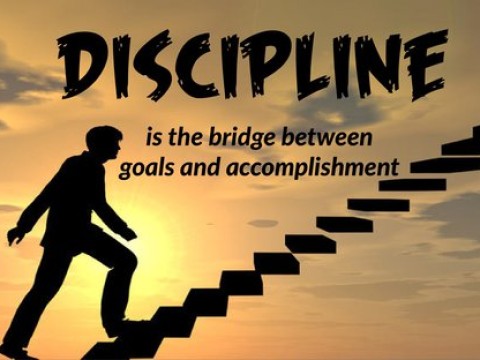 discipline