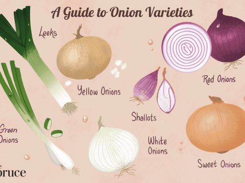 onion