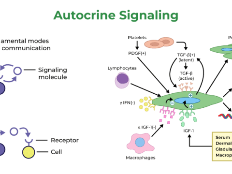 signaling